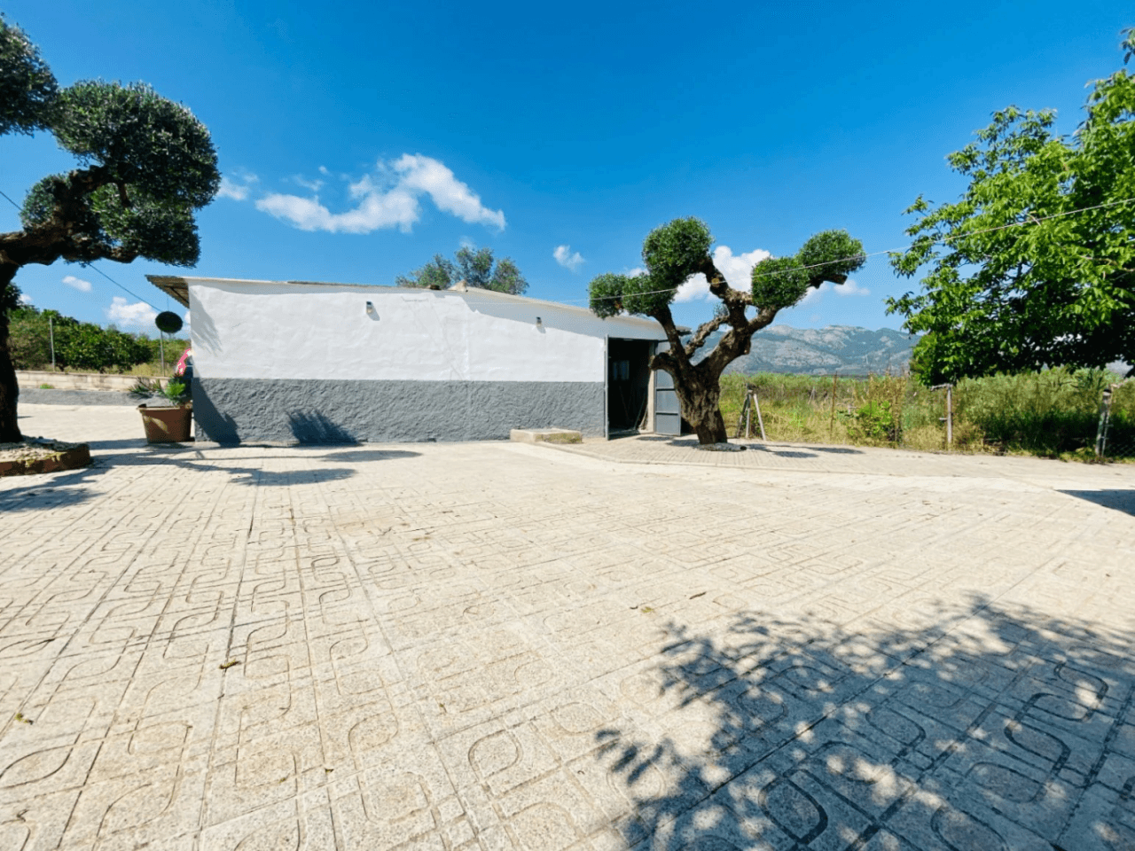 Villa Alcudia