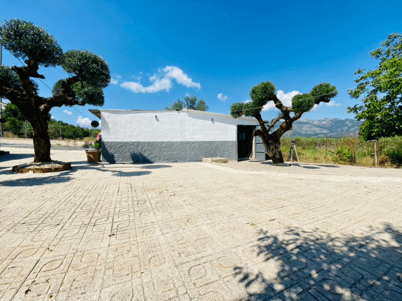 Villa Alcudia
